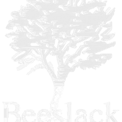 Collection image for: Beeslack Community High School
