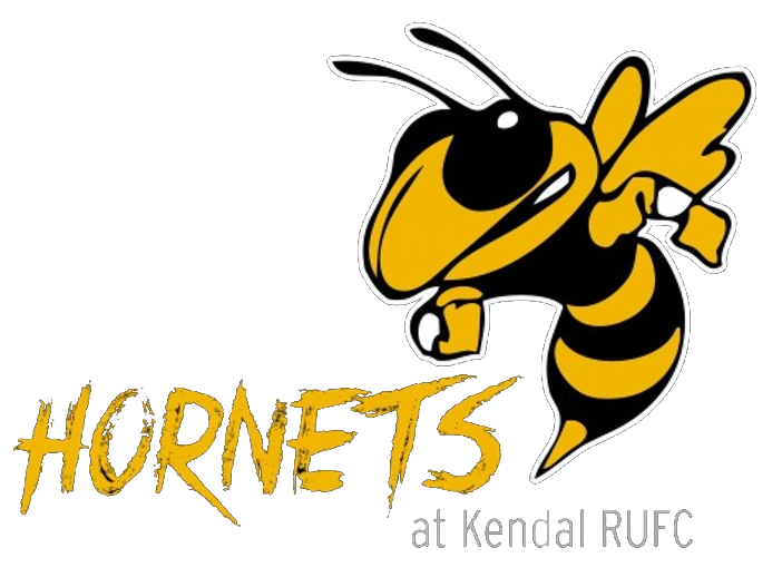 HORNETS