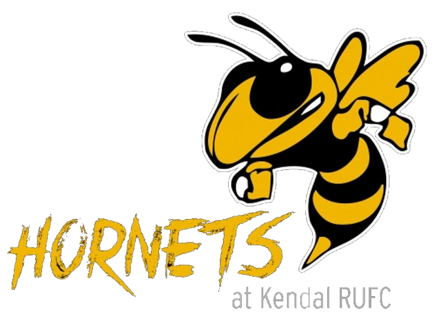 HORNETS