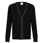 BROWN WITH GREEN STRIPE / 22 / ROWLINSON