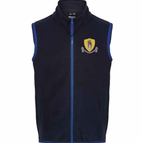 NAVY/NEW ROYAL