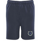 NAVY/SILVER
